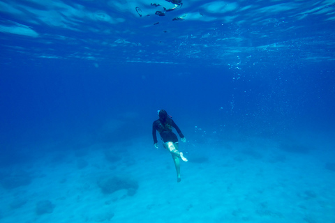 Rhodos: peddelsurf- en snorkelavontuurPeddelsurfen & snorkelen zonder ophaalservice