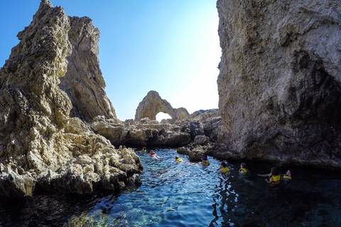 Rhodos: peddelsurf- en snorkelavontuurPeddelsurfen & snorkelen zonder ophaalservice