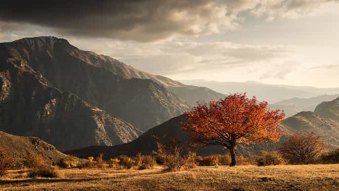 from yerevan trekking and wine tasting tour