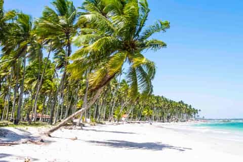 From Recife: Guided Day Trip to Praia dos Carneiros