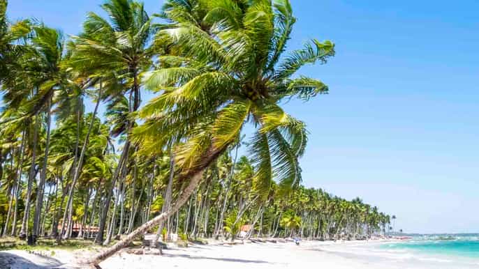 desde recife viaje guiado de 1 día a la praia dos carneiros