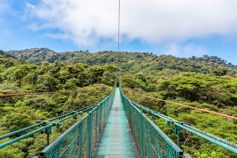 San José: excursion d'une journée en tramway et ponts suspendus à Monteverde