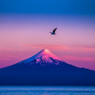 Puerto Varas: volcán Osorno y saltos de Petrohué en un día