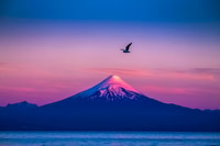 Puerto Varas, Osorno Volcan et chutes d'eau Petrohué Voyage d'une journée - Hizvo