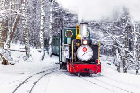 tierra del fuego the end of the world train official ticket
