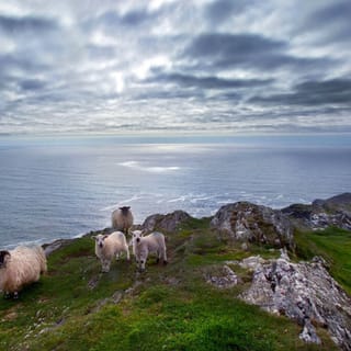 From Cork: Guided Full-Day West Cork to Mizen Head Tour