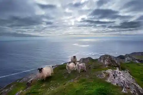 Au départ de Cork : Visite guidée d'une journée de West Cork à Mizen Head