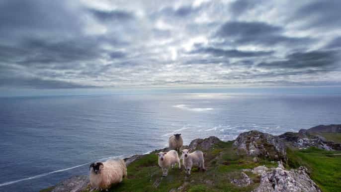 from cork guided fullday west cork to mizen head tour