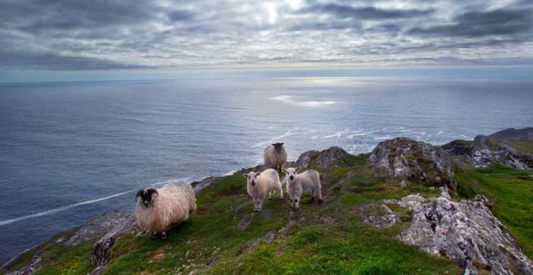 From Cork Guided Full Day West to Mizen Head Tour GetYourGuide