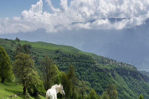 Yerevan: 1-day Horseback Riding in the Lush Region of Lori Standard Option