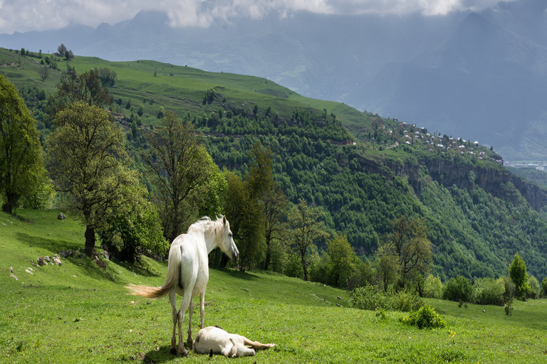 Yerevan: 1-day Horseback Riding in the Lush Region of Lori Standard Option