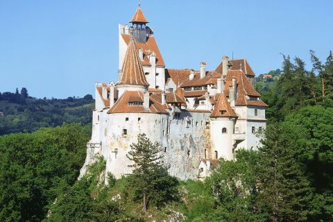 From Bucharest: Peles and Dracula's Castle Full-Day Tour