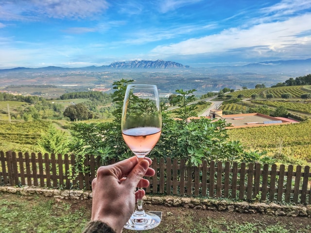 From Barcelona: Montserrat Lunch & Wine Tasting in Vineyard