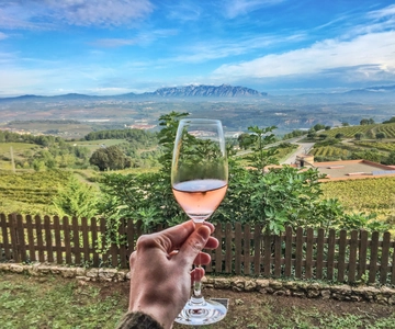 From Barcelona: Montserrat Lunch & Wine Tasting in Vineyard