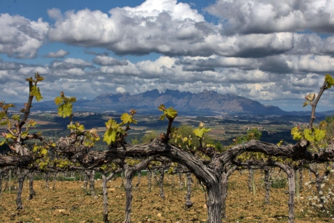 Ab Barcelona: Tagestour Montserrat mit Mittagessen und Wein