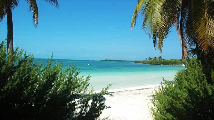 cancun or riviera maya isla contoy isla mujeres day trip