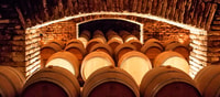 Santiago, Concha Y Toro Winery 4 - Hour Tour & Sommelier Class - Housity