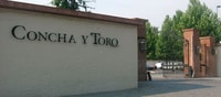 Santiago, Concha Y Toro Winery 4 - Hour Tour & Sommelier Class - Housity