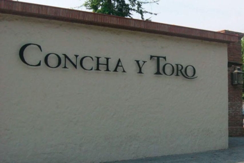 Santiago: bodega Concha y Toro, tour de 4 horas y sommelierConcha y Toro y clase sumiller con guía español mañana/tarde