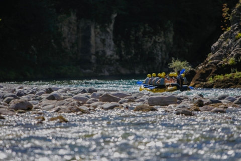 Montenegro: rafting en aguas dulces del río TaraRápidos del río Tara: actividad de rafting desde Tivat