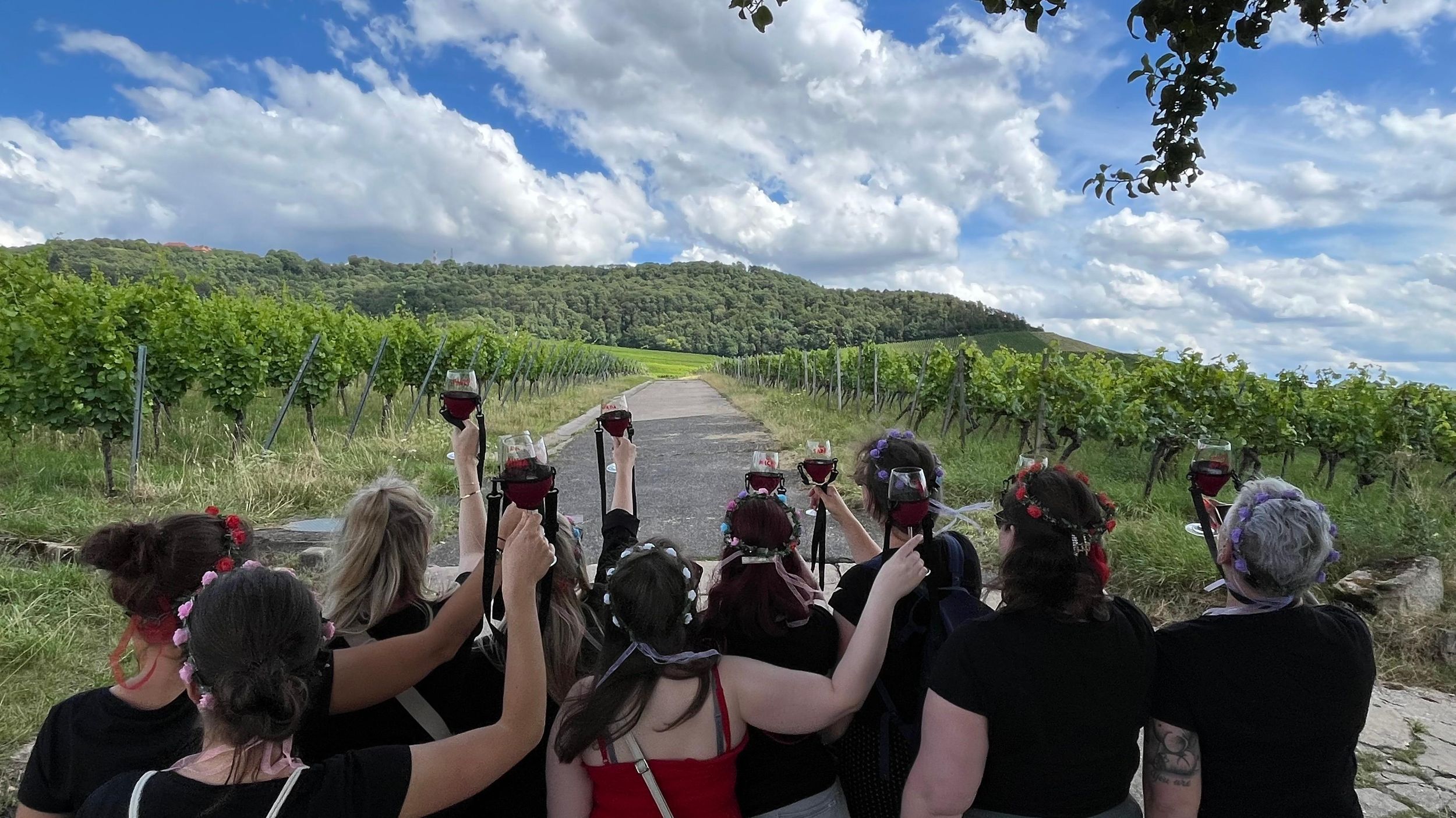 Würzburg: Ausflug in die Weinberge – genussvolle Weinwanderung&Probe