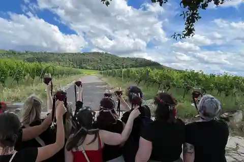 Würzburg: Excursion to the vineyards - enjoyable wine hike & tasting