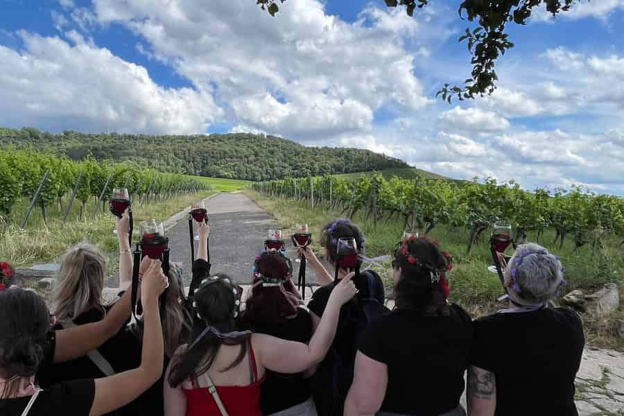 Würzburg: Ausflug in die Weinberge – genussvolle Weinwanderung&Probe