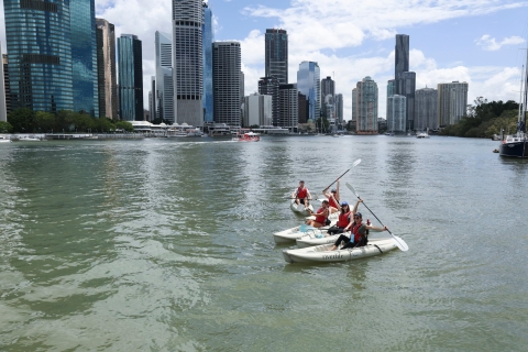 Brisbane: 2-Hour Kayak Hire on Brisbane River