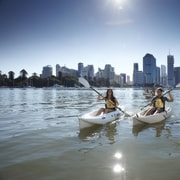Brisbane: 2-Hour Kayak Hire on Brisbane River