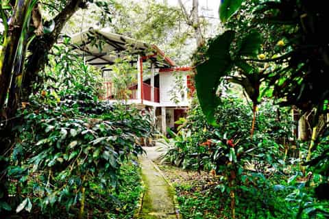 from bogotá coffee plantation and fusagasuga private tour