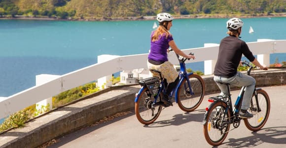 Wellington: Elektrofahrradverleih