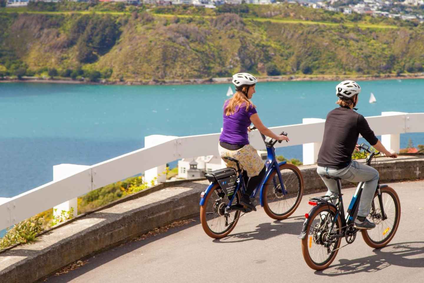things to do at night in wellington | explore wellington riding an electric bike