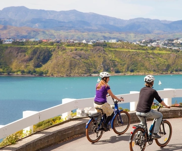 Wellington: Electric Bike Rental