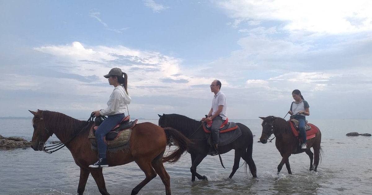 Krabi HalfDay Kayaking and Horseback Riding Excursion GetYourGuide