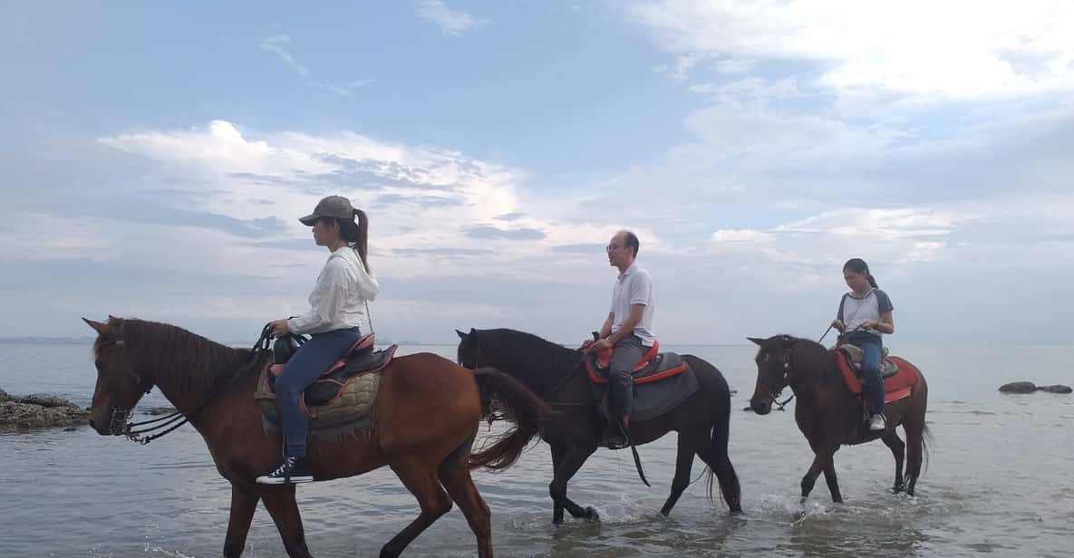 Krabi HalfDay Kayaking and Horseback Riding Excursion GetYourGuide