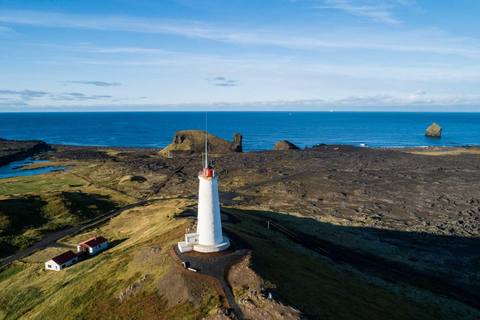 Reykjanes halvö : Privat guidad dagstur