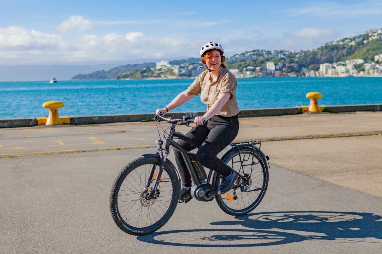 Wellington: visite guidée à vélo de 2 heures
