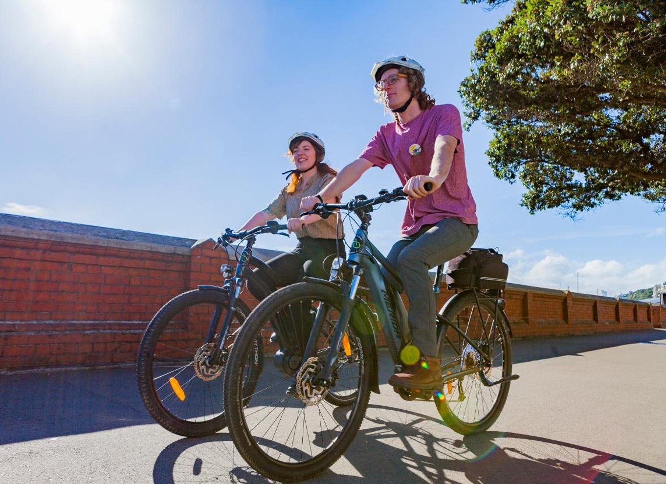 Wellington: Easy Rider guidet tur på eBike