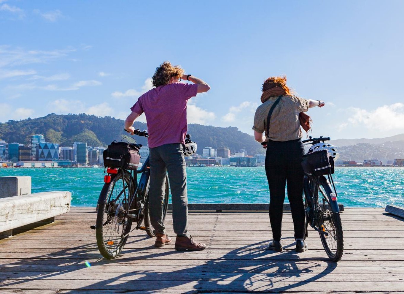 Wellington: Easy Rider guidet tur på eBike