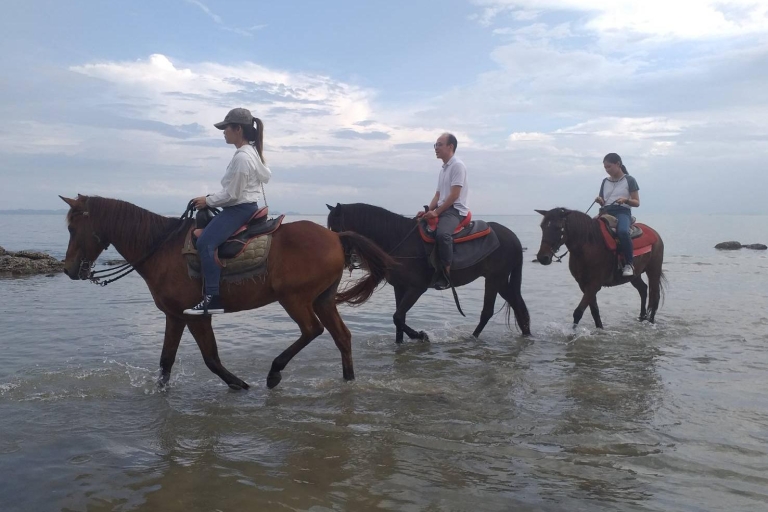 Provincia de Krabi: recorrido por la ciudad con paseo a caballo por la playa de 1 horaOpción estándar