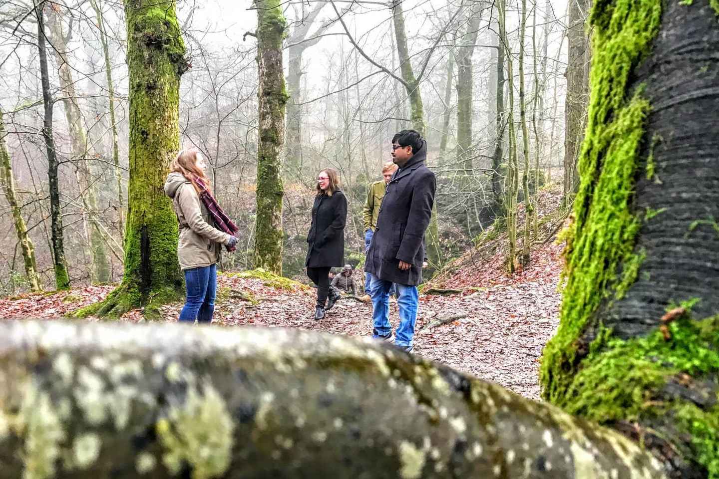 From Liverpool: Lake District Sightseeing Adventure Day Trip