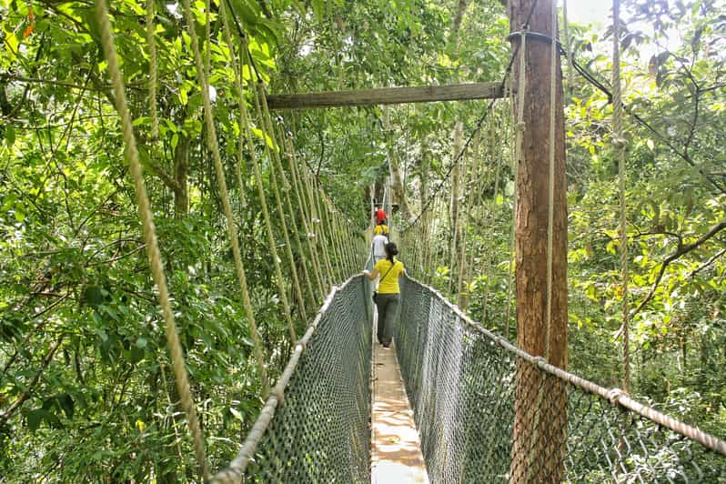 Kuala Lumpur: Taman Negara National Park Overnight Tour | GetYourGuide