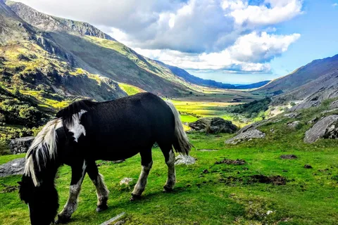 From Manchester: North Wales Sightseeing Adventure Day Trip