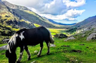 Ab Manchester: Abenteuer-Tagestour in Nordwales