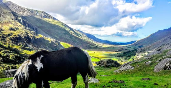 Ab Manchester: Abenteuer-Tagestour in Nordwales