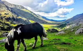 From Manchester: North Wales Sightseeing Adventure Day Trip