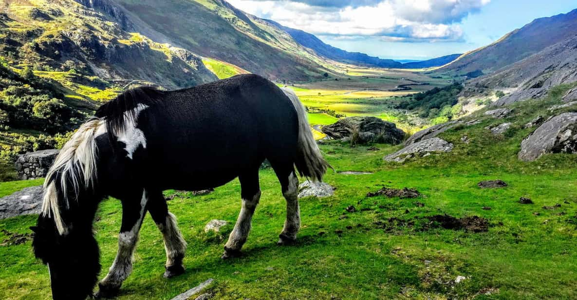 north wales tour from manchester