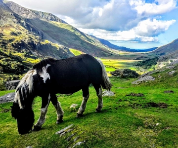 From Manchester: North Wales Sightseeing Adventure Day Trip