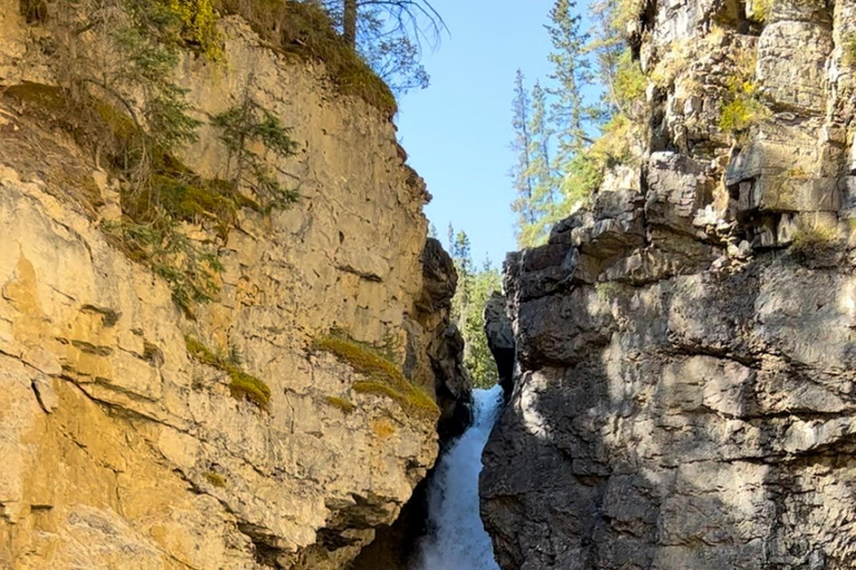 Banff: Servizio navetta per Lake Louise e Johnston CanyonDal parcheggio degli autobus del Mount Royal Hotel