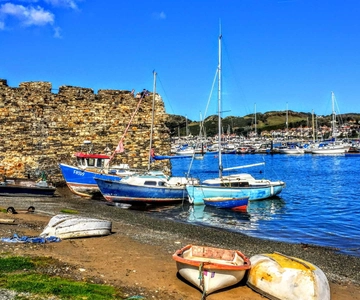 Från Chester: Guidad sightseeing-tur i norra Wales på en heldag